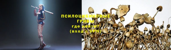 мескалин Абаза
