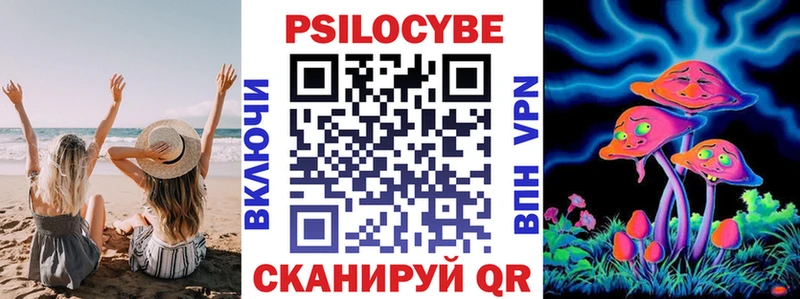 кракен ссылки  Дмитровск  Псилоцибиновые грибы мицелий 